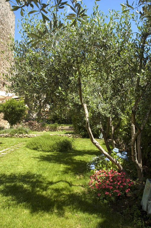 Frühstückspension Delle Mura Anna De Croy Magliano in Toscana