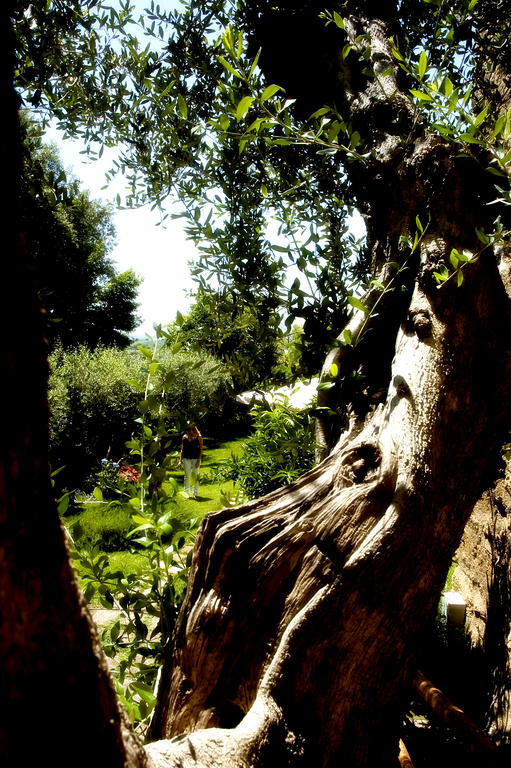Delle Mura Anna De Croy Magliano in Toscana