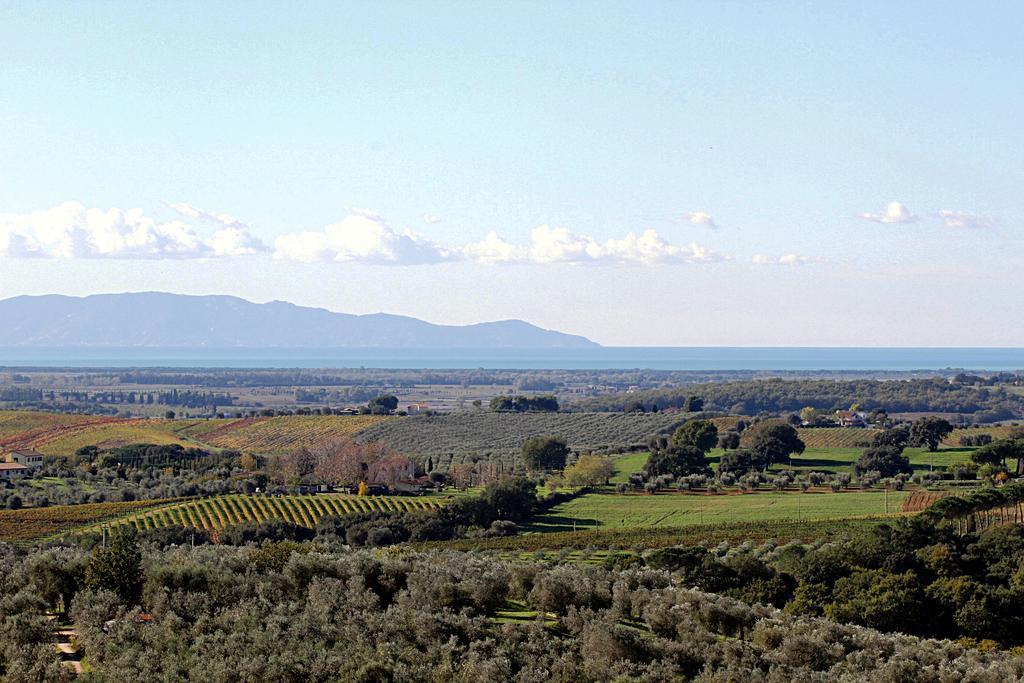 Delle Mura Anna De Croy Frühstückspension Magliano in Toscana